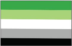 Aromantic Pride Flag - Aufn�her