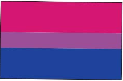 Bisexual Pride Flag - Aufn�her