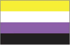 Nonbinary Pride Flag - Aufn�her