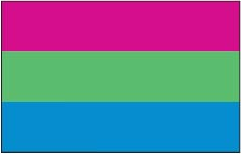 Polysexual Pride Flag - Aufn�her