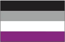 Asexual Pride Flag - Aufn�her