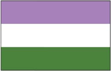 Genderqueer Pride Flag - Aufn�her