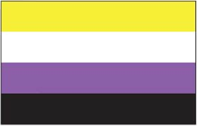 Nonbinary Pride Flag - Aufn�her