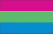 Polysexual Pride Flag - Aufn�her